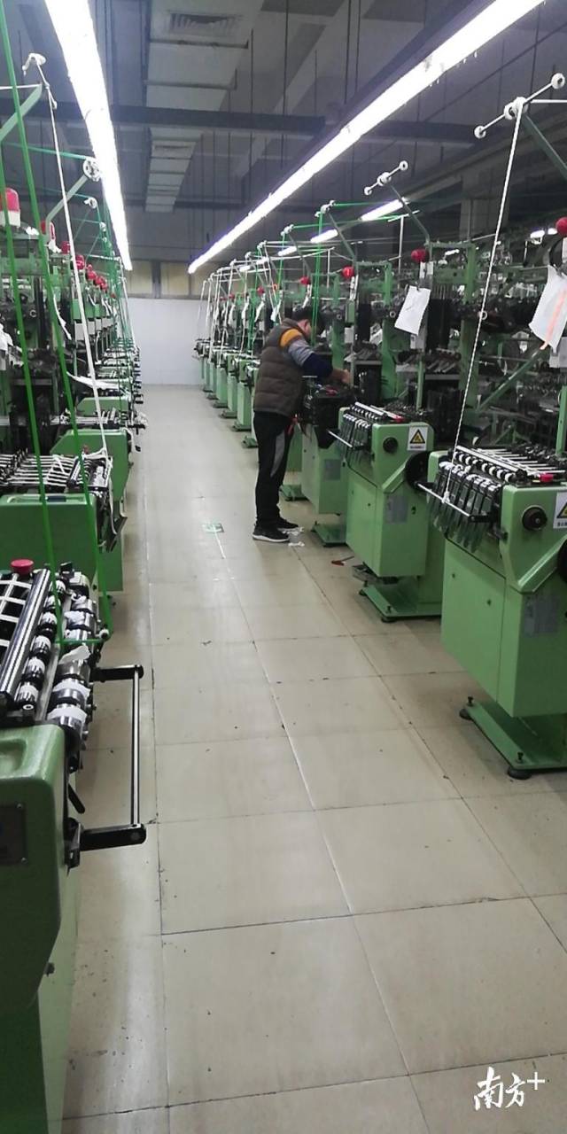 泓利股份 泓利股份