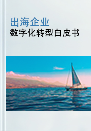 出海白皮书封面