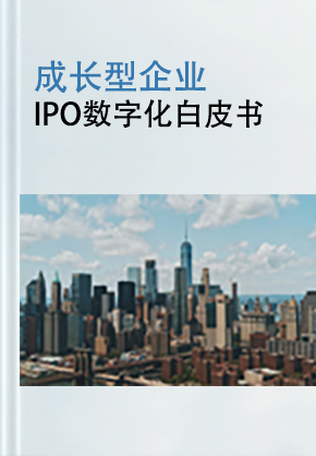 IPO数字化白皮书